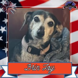 Brin Joy image 1