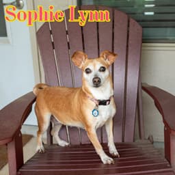 Sophie Lynn image 3