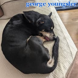 George Youngster image 4