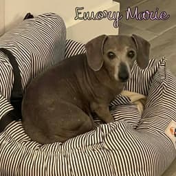 Emory Marie image 3