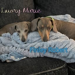 Emory Marie image 2