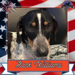 Hank Williams image 1