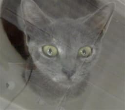 Marie image 1