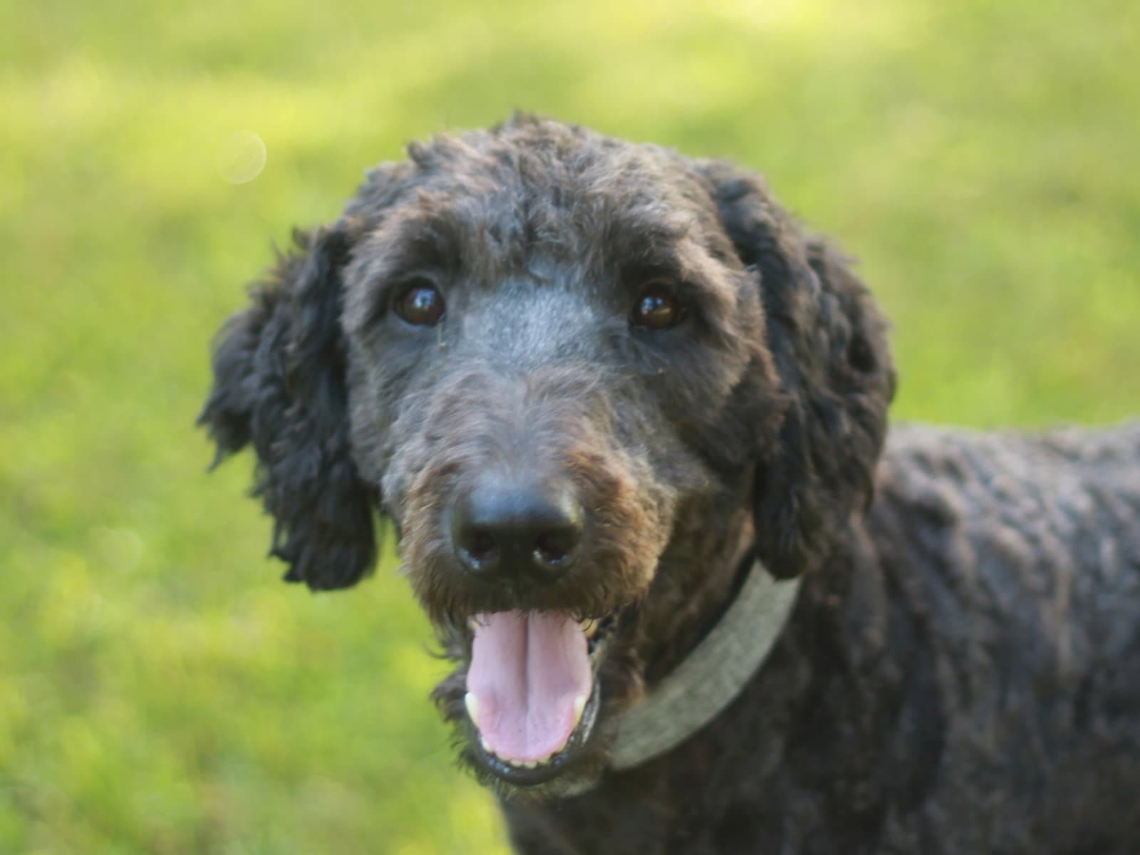 Baxter