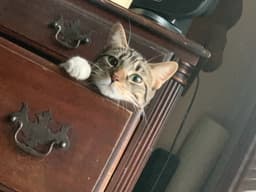Butters image 2