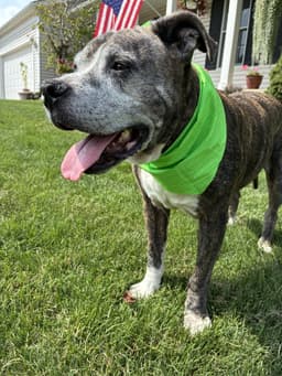Nyla The Sweet Girl image 3