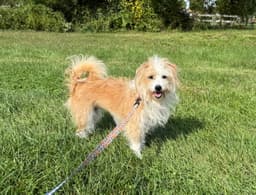 Sofie image 2