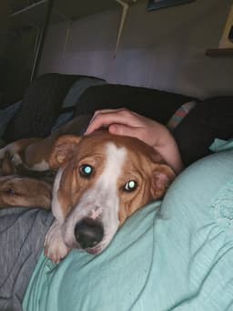 Abbey Mae image 3