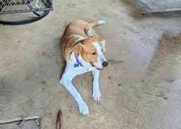 Abbey Mae image 2