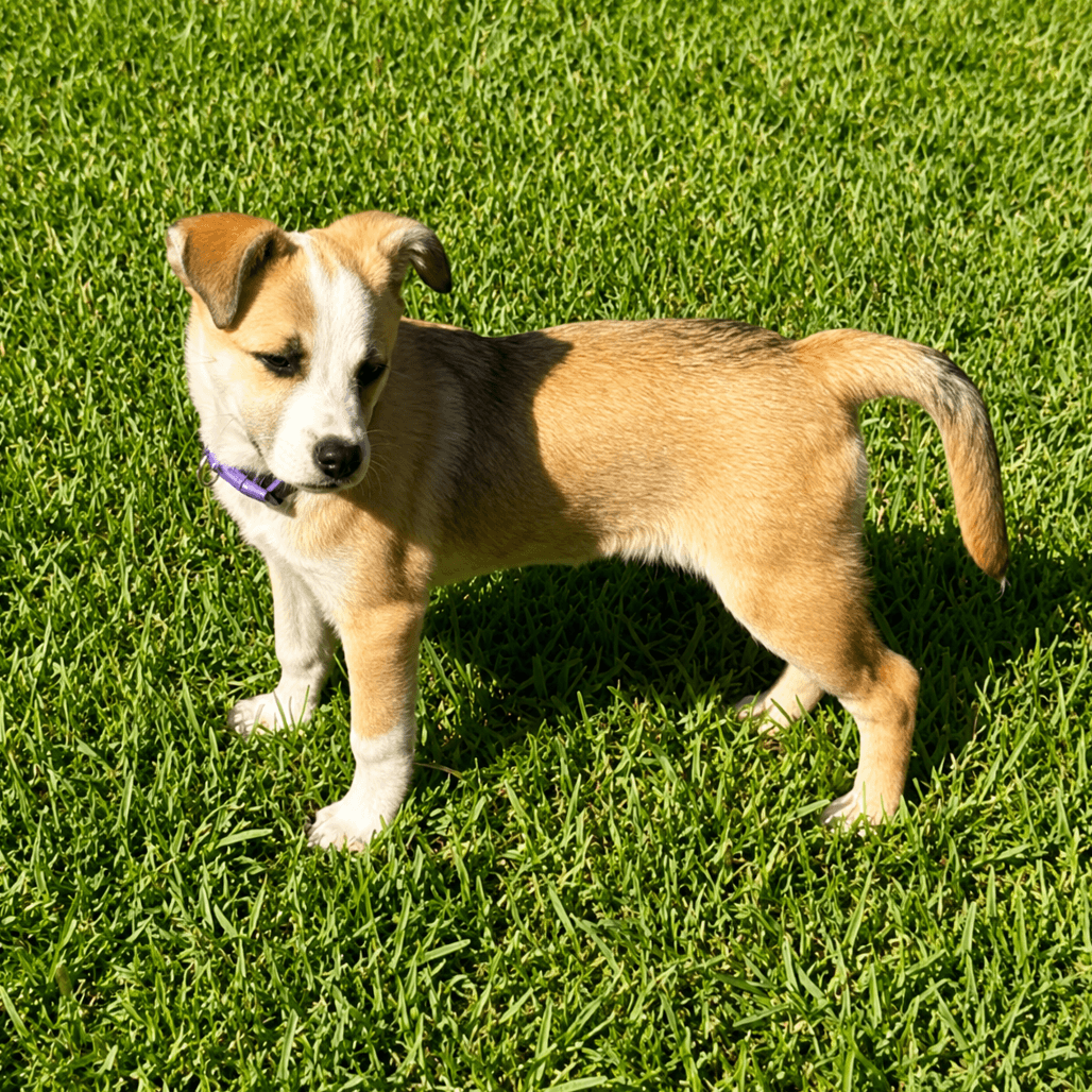 Heidi  Months Available - Unknown