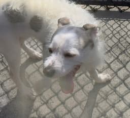 Casper image 1