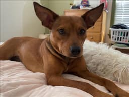 Emma image 1
