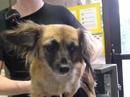 Gabby image 1