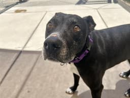 Ripley image 1