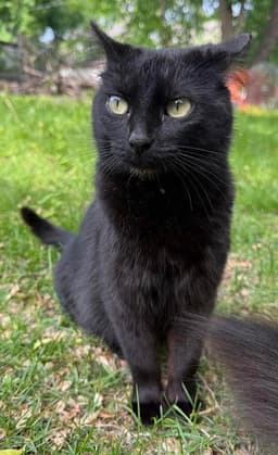 Lucie image 1