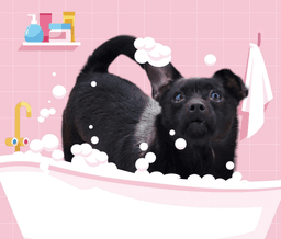 Mimi image 2