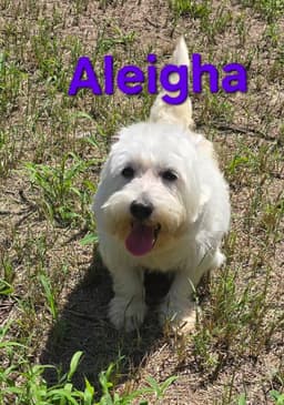 Aleigha image 1
