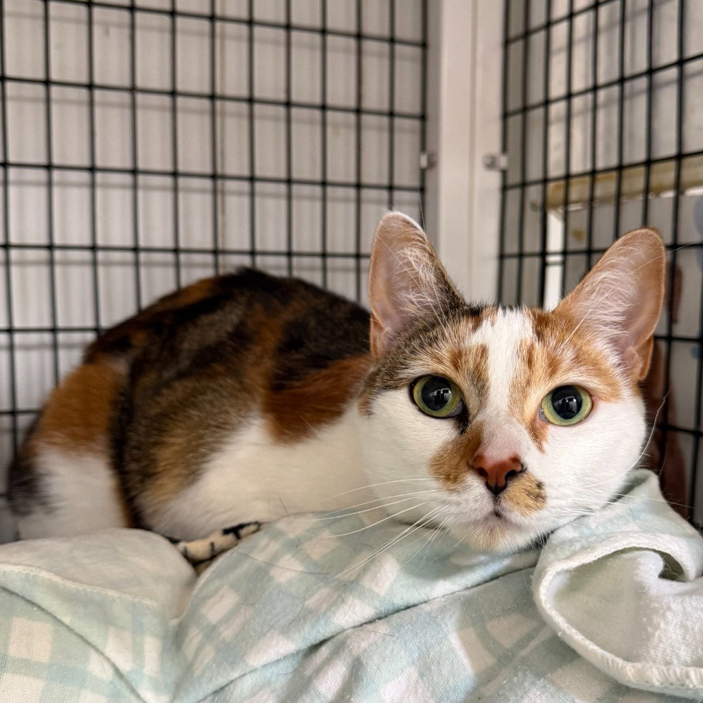 Mimi image 3