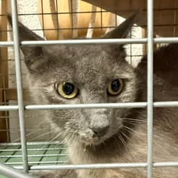 Tnr Van Sant Dr image 1