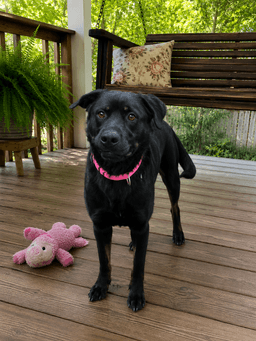 Hannah image 3
