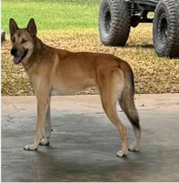 Diego image 1