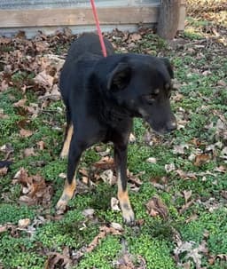 Max image 3