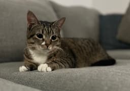 Resilience image 1