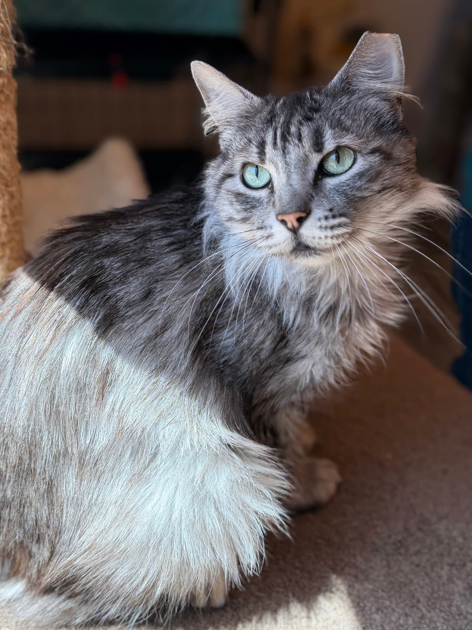 Fluff