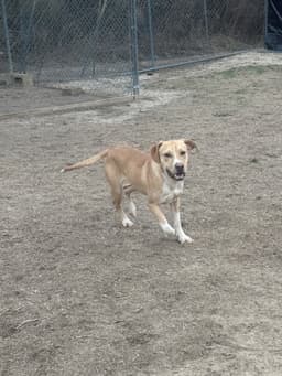 Grady image 1