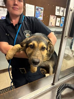 Zoidberg image 1