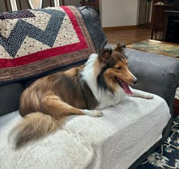 Winston image 3