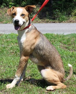 Reggie image 1