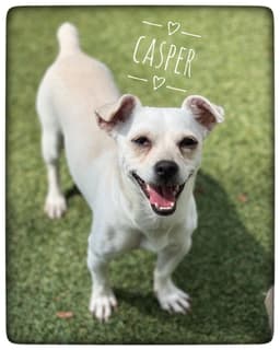Casper image 3