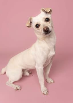 Casper image 2