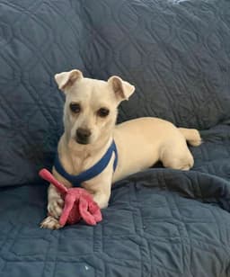 Casper image 1