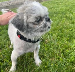 Max image 3