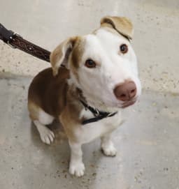 Tucker image 3