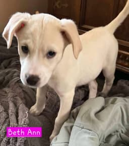 Beth Ann image 1