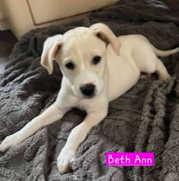 Beth Ann image 2