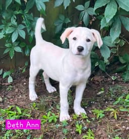 Beth Ann image 3