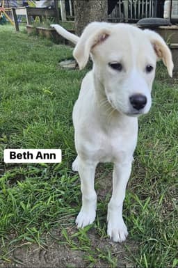 Beth Ann image 3