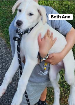 Beth Ann image 4