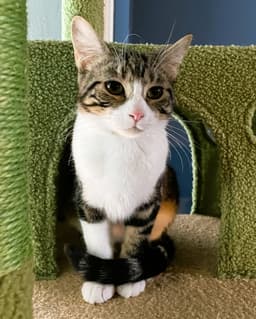 Frannie image 3