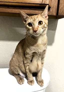 Gabby image 1