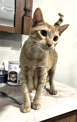 Gabby image 4