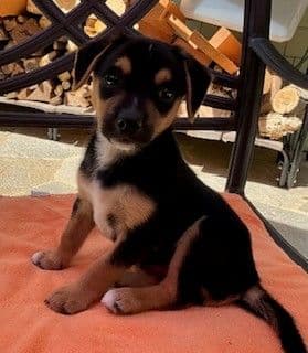 Max - Unknown