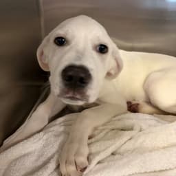 Casper image 1