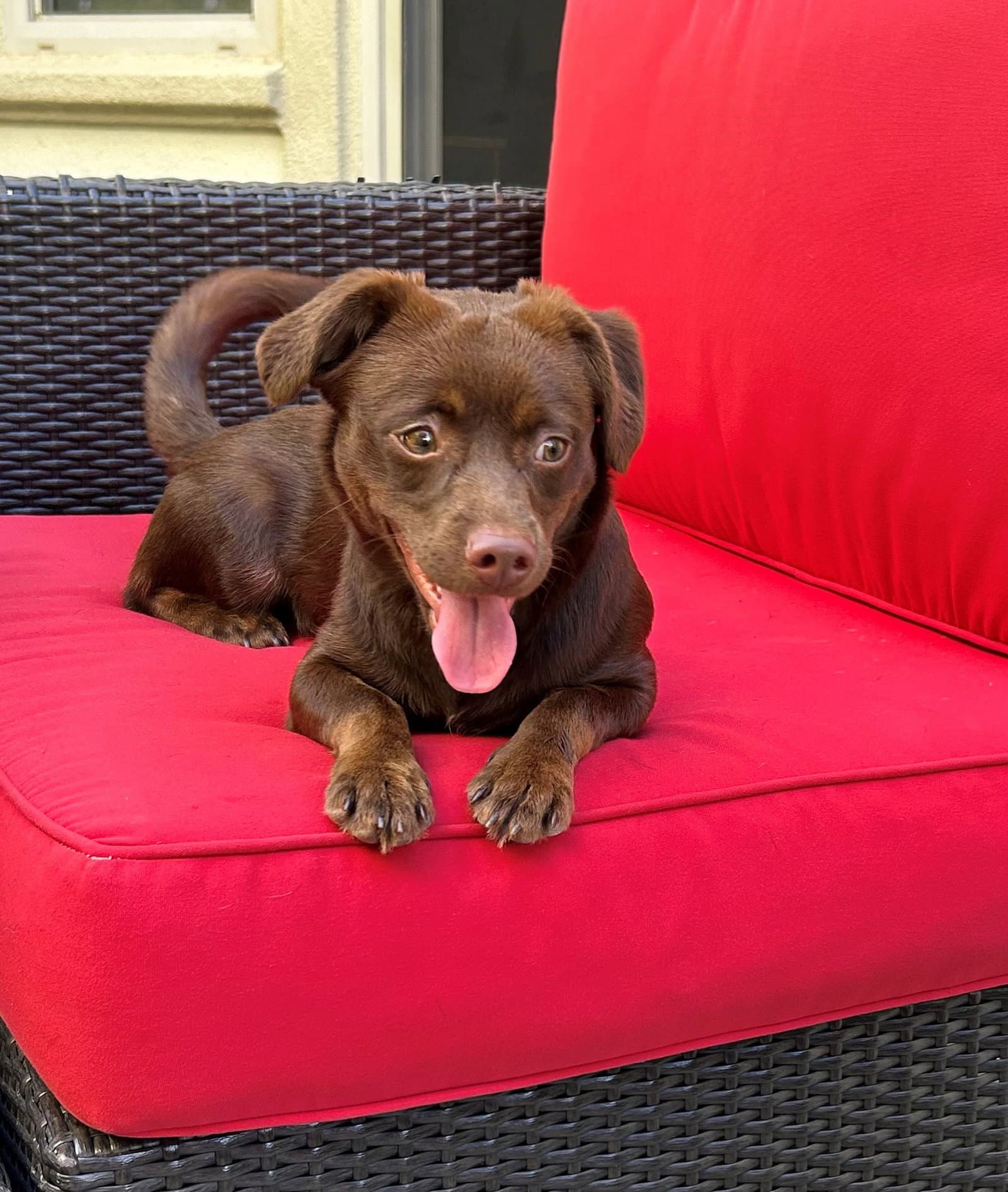 Coco - Unknown