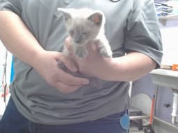 Wendy image 1