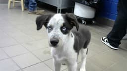 Max image 1
